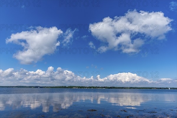 Flenburg Fjord with view of the Danish shore, nature reserve Holnis peninsula, nature reserve, water reflection, German, Danish border area, blue sky, white clouds, Glücksburg, Schleswig-Holstein, Germany, Europe
