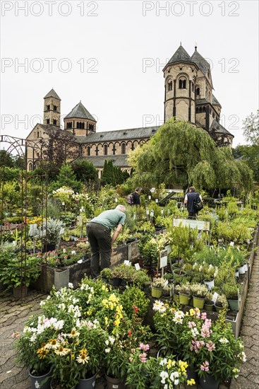 Romanesque monastery church, Benedictine Abbey Maria Laach, Eifel, Rhineland-Palatinate, Germany, Europe