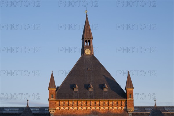 Copenhagen Central Station, Københavns Hovedbanegård, designed by architect Heinrich Wenck, Copenhagen, Denmark, Europe