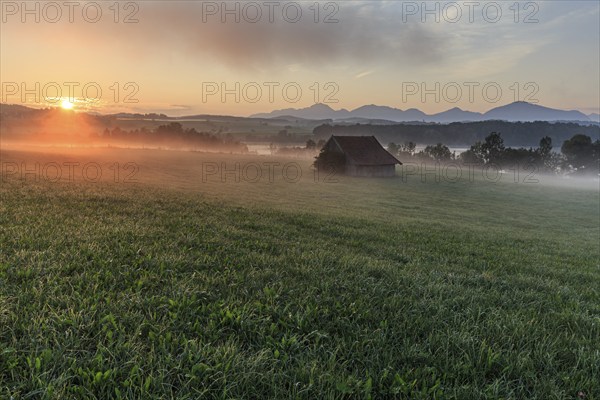 Morning light, foggy mood, hut, meadow, summer, Habach, view of Kochler mountains, Alpine foothills, Bavaria, Germany, Europe