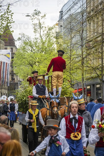 Parade of historically costumed guild members, Zunft zur Waag, Sechseläuten or Sächsilüüte, Zurich Spring Festival, Zurich, Switzerland, Europe