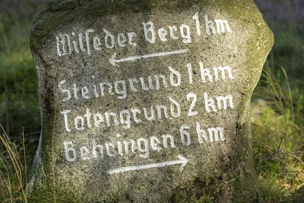 Stone signpost near Wilsede, Bispingen, Lüneburg Heath, Lower Saxony, Germany, Europe