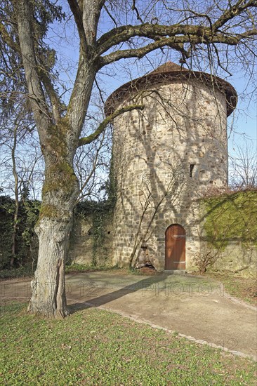 Defence defence tower and town wall, Feuchtwangen, Middle Franconia, Franconia, Bavaria, Germany, Europe