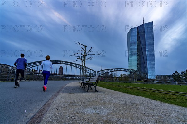 Building of the European Central Bank, ECB, on the Main in Frankfurt, park bench on the banks of the Main, Hesse, Germany, Europe