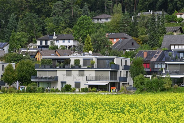 Housing estate detached houses