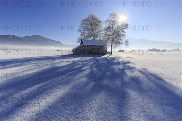 Trees and hut, long shadows, sunbeams, backlight, snow, winter, fog, cold, mountains, Loisach-Lake Kochel moor, view of Kochler mountains, Alpine foothills, Bavaria, Germany, Europe