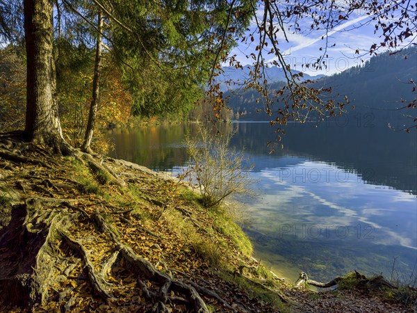 Autumn atmosphere at Hechtsee lake near Kufstein, Tyrol, Austria, Europe