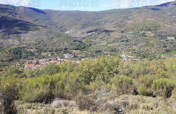 Looking down on rooftops of nucleated village Garganta la Olla, La Vera, Extremadura, Spain, Europe