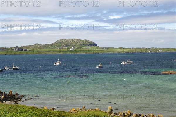 Several boats lying in turquoise blue water, with green hills and an island in the background, view of holy island of Iona, Inner, Hebrides, Scotland, United Kingdom, Europe