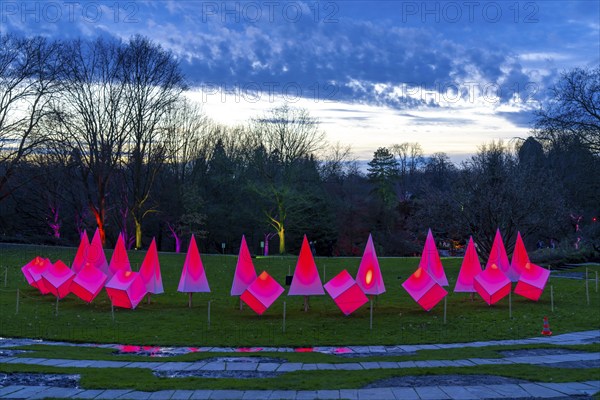 Parkleuchten, event in winter, in the Grugapark in Essen, many different light installations, across the park, attract many thousands of visitors, North Rhine-Westphalia, Germany, Europe
