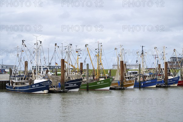 Fishing boats in the fishing harbour, Norddeich, East Frisia, Lower Saxony, Germany, Europe