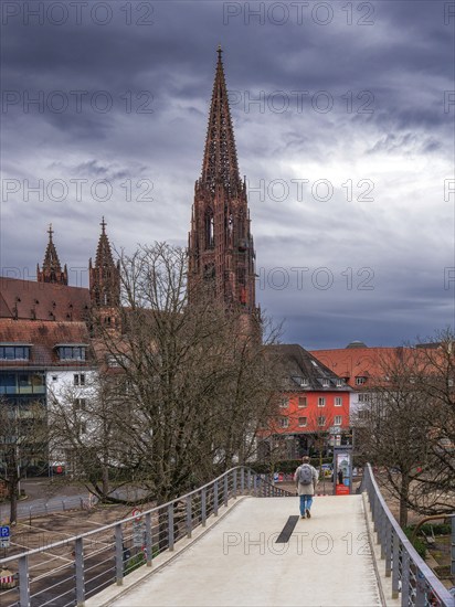 City, Freiburg, Church, Freiburg Minster, Germany, Europe