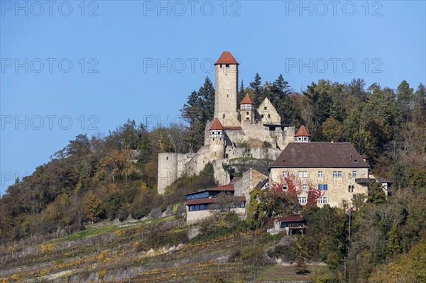 Hornberg Castle, castle of the knight Götz von Berlichingen. Landmark of Neckarzimmern and one of the largest and most important castles in the Neckar valley. Neckarzimmern, Baden-Württemberg, Germany, Europe