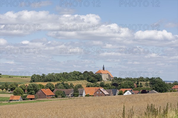 Former monastery church, church, houses, Wittenburg, Elze, Lower Saxony, Germany, Europe