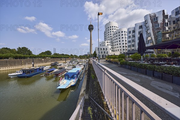 Marina, Rheinturm television tower and building by architect Frank O. Gehry in Düsseldorf, state capital, independent city, North Rhine-Westphalia, Germany, Europe