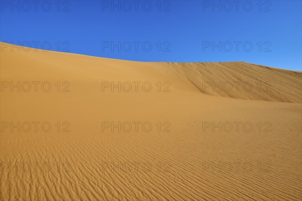 Wide sand dunes under a blue sky in the desert, Matruh, Great Sand Sea, Libyan Desert, Sahara, Egypt, North Africa, Africa