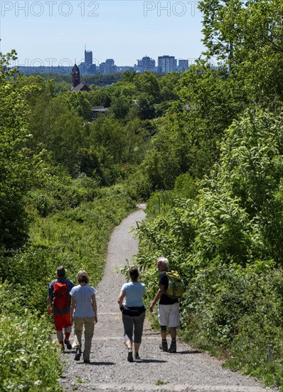Hiking trail on the Zollverein slagheap 4/11, in Gelsenkirchen, with a view of the city centre of Essen, Germany, Europe