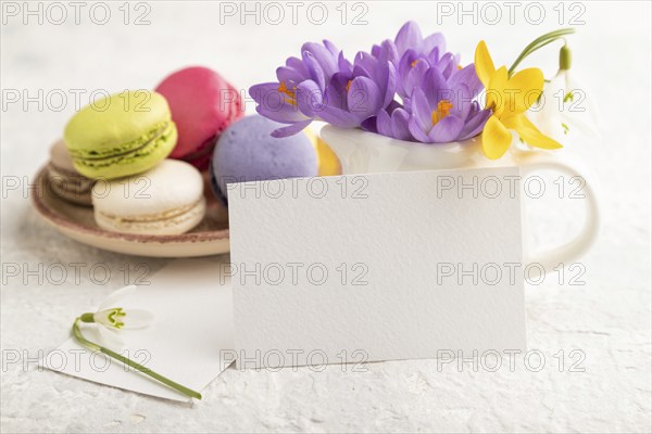 White paper business card mockup with spring snowdrop crocus flowers and multicolored macaroons on gray concrete background. Blank, business card, side view, copy space, still life. spring concept