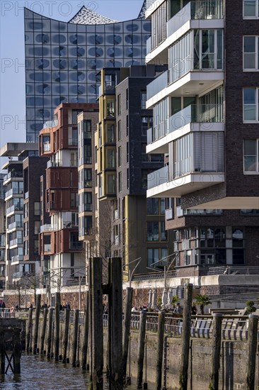 Residential building at Dalmannkai, Grasbrookhafen, behind the Elbe Philharmonic Hall, Hafencity Hamburg, new district on the Elbe, on the site of the former free port, residential units for 14, 000 people, 3, 000 hotel beds, 45, 000 jobs, Hamburg, Germany, will be built here by the 2030s, Europe