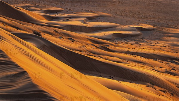 Wind-sculpted sand dunes at sunrise in the Rub al Khali desert, Dhofar province, Arabian Peninsula, Sultanate of Oman