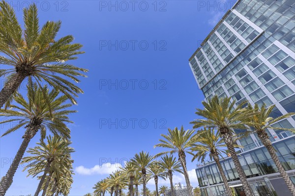 USA, Scenic San Diego downtown financial district city skyline and skyscrapers, North America