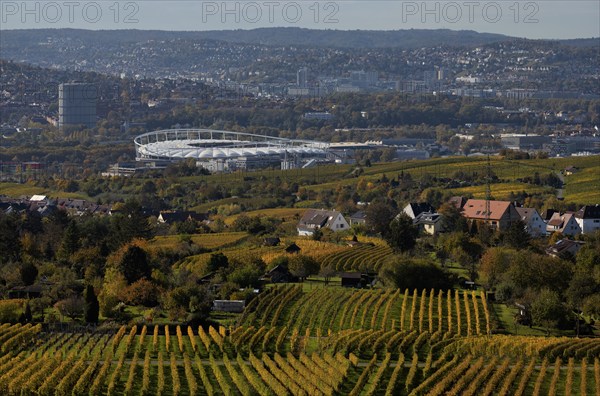 View of MHPArena, MHP Arena, Gaskessel, Stuttgart, over vineyard, vines, grapevines, viticulture, autumn colouring, autumn, Kappelberg, Fellbach, Waiblingen, Baden-Württemberg, Germany, Europe