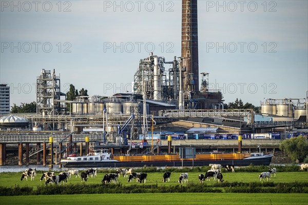 Cargo ship on the Rhine near Emmerich, Kao Chemicals scenery, KLK, Left Rhine pastures, Left Rhine, Lower Rhine, North Rhine-Westphalia, Germany, Europe