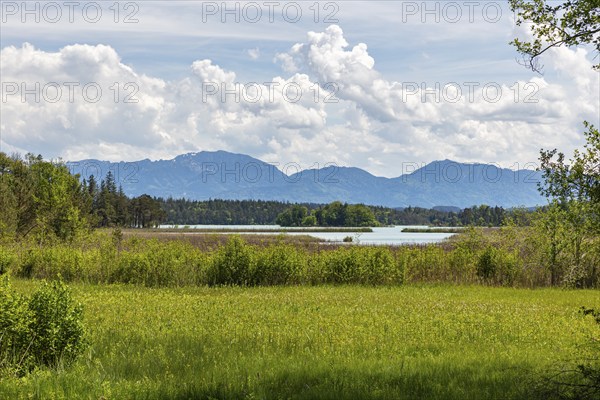 A lake with grassy meadows and mountains in the background under a cloudy sky, Easter Lakes