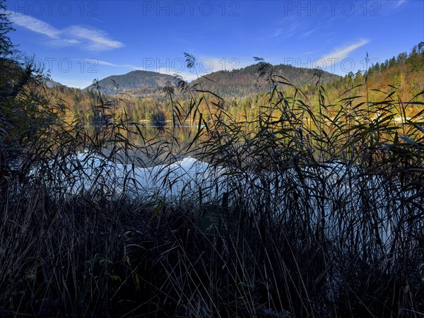 Autumn atmosphere at Hechtsee lake near Kufstein, Tyrol, Austria, Europe