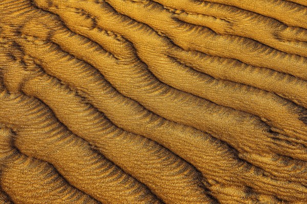 Wind-sculpted sand structure in the Rub al Khali desert, Dhofar province, Arabian Peninsula, Sultanate of Oman