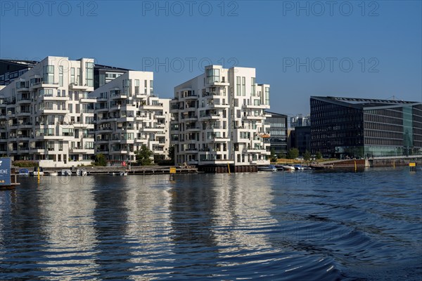 Residential buildings, apartment buildings, condominiums, at the harbour, Havneholmen, near Sydhavnen, Copenhagen, Denmark, Europe