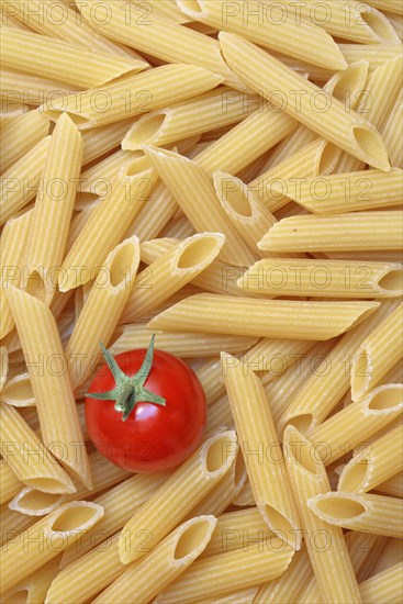 Pasta, Italian penne and tomato