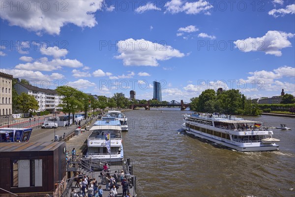 Excursion boats at the Main quay and on the Main river under a blue sky with cumulus clouds in Frankfurt am Main, Hesse, Germany, Europe