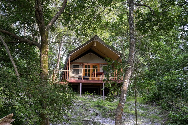 Chalet at Loango Lodge, Loango National Park, Parc National de Loango, Ogooué-Maritime Province, Gabon, Africa