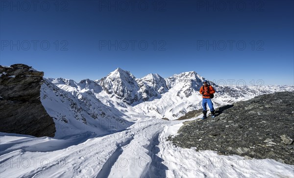 Ski tourers on foot at the summit of the Madritschspitze, mountain panorama with snow-covered mountain landscape in winter, view of mountain peaks Königsspitze, Monte Zebru and Ortler, Ortler Alps, Vinschgau Valley, Italy, Europe