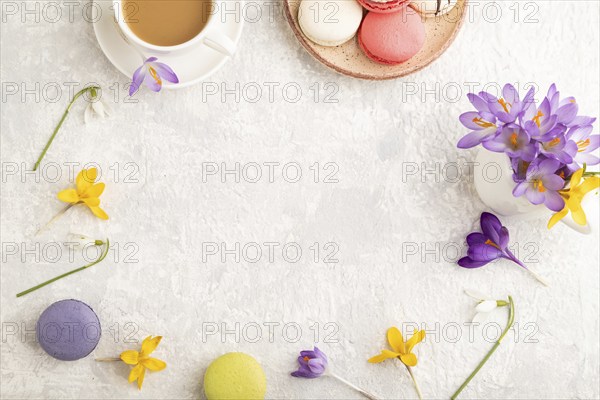 Mockup with spring snowdrop crocus flowers and multicolored macaroons on gray concrete background. Blank, business card, top view, flat lay, copy space, still life. spring concept