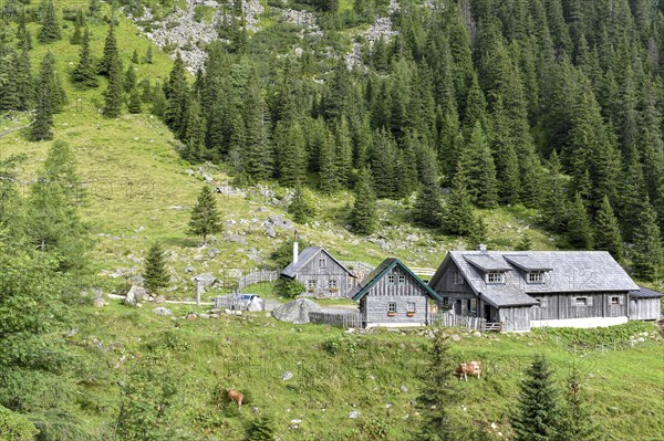 The alpine huts of the Kaltenbachalm on the Sölk Pass, Sölktal, Niedere Tauern, Styria, Austria, Europe