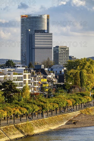 Skyline Bonn on the Rhine, in front the UNFCCC Secretariat of the Framework Convention on Climate Change, in the centre the United Nations high-rise building, Campus Bonn, behind it the Posttower, headquarters of Deutsche Post, Rhine bank Bonn-Beuel, riverside promenade, North Rhine-Westphalia, Germany, Europe