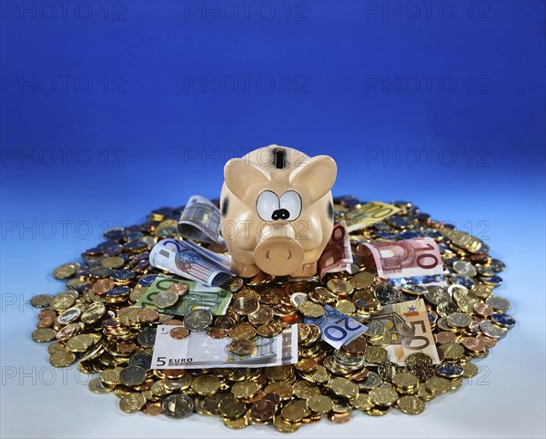 A piggy bank with banknotes and coins, savings, old-age provision, nest egg Studio photo, Lower Saxony, Federal Republic of Germany