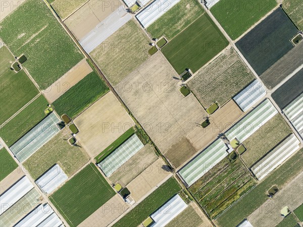 Cultivated fields in the semi rural district of La Algaida next to Sanlúcar de Barrameda. Aerial view. Drone shot. Cádiz province, Andalusia, Spain, Europe