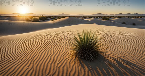 A minimalist desert landscape with a single, dried cactus, AI generated