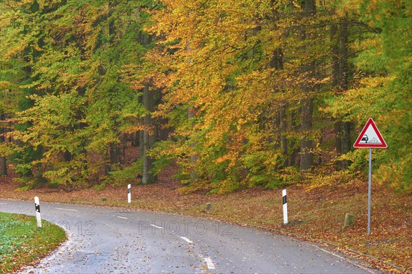Winding road through an autumnal forest with colourful leaves and a roadside sign, Spessart, Bavaria, Germany, Europe