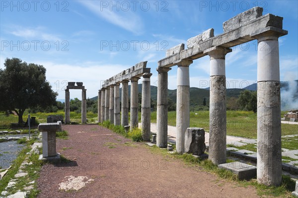 Ruins of ancient tall columns stretching along a path under a clear blue sky, Messene, ancient Greek polis, Messini, Messinia, Peloponnese, Greece, Europe