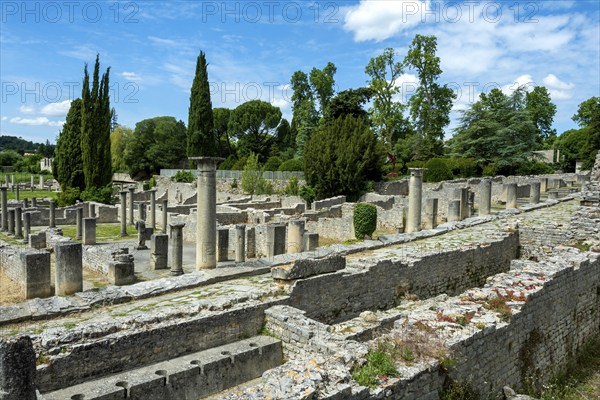Vaison-la-Romaine. Archaeological site of La Villasse. Vaucluse. Provence-Alpes-Côte d'Azur. France