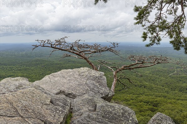 Overlook along the Pulpit Rock Trail in Cheaha State Park, Alabama, USA, North America