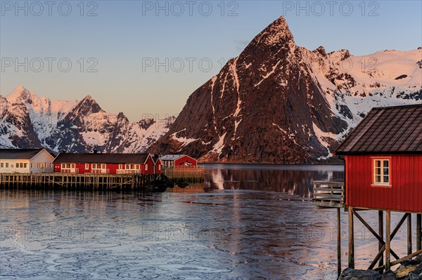Typical Norwegian houses in fjord in front of steep mountains, sea fog, winter, Reine, Moskenesoya, Lofoten, Norway, Europe