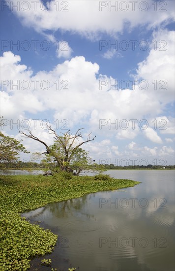 Debara Wewa Reservoir, Tissamaharama, Southern Province, Sri Lanka, Asia