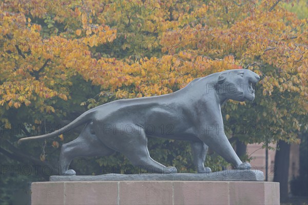 Sculpture Striding Tiger by Philipp Harth 1969, bronze, lion figure, Black panther, orange, autumn mood, striding, walking, Stresemann-Ufer, Altstadt, Mainz, Rhine-Hesse region, Rhineland-Palatinate, Germany, Europe