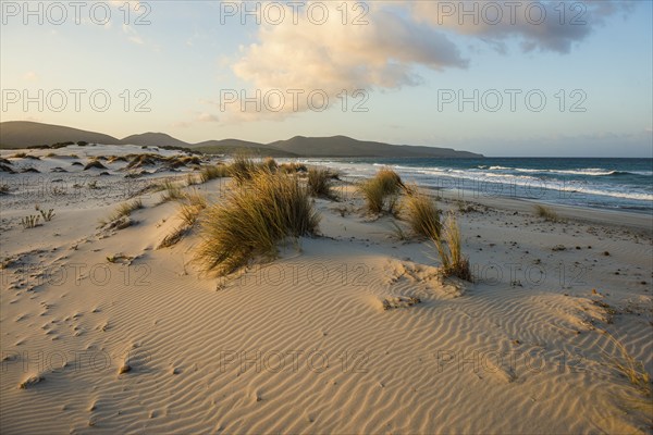 Lonely white sandy beach with dunes, sunrise, Porto Pino, Sardinia, south coast, Italy, Europe