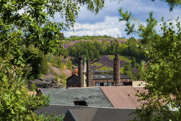 Muldenhütten is an industrial area that has been part of Freiberg since 1 January 2012. It is located directly on the right bank of the Freiberger Mulde. The town has a railway station on the main Dresden-Werdau line and has been characterised by metallurgy for almost 700 years., Mudenhütten, Bobritzsch Hilbersdorf, Saxony, Germany, Europe